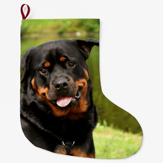 Rottweiler Happy Christmas Stocking (Front)