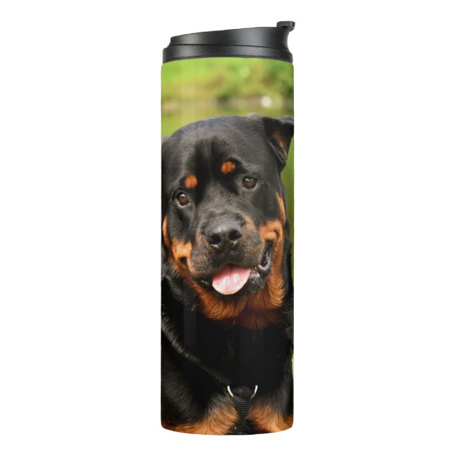 Rottweiler Happy Thermal Tumbler (Rotated Left)