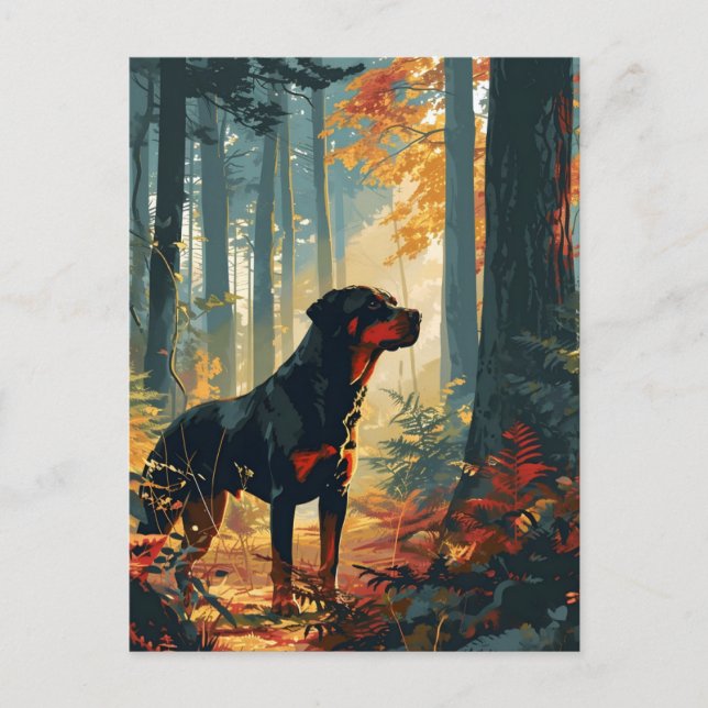 Rottweiler in a forest during sunset postcard (Front)