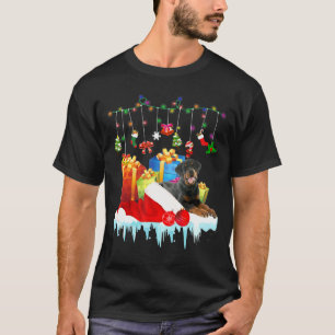 Rottweiler In Santa Hat Christmas Fairy Light Pres T-Shirt