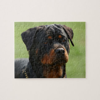Rottweiler Jigsaw Puzzle