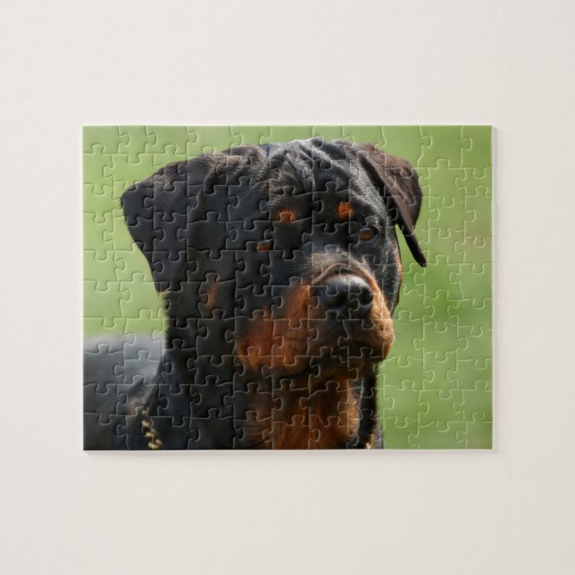 Rottweiler Jigsaw Puzzle (Horizontal)