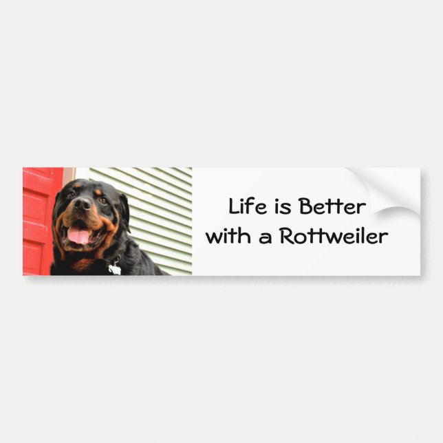 Rottweiler Love Bumper Sticker (Front)