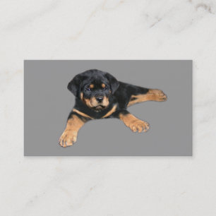 Rottweiler Lover Business Card