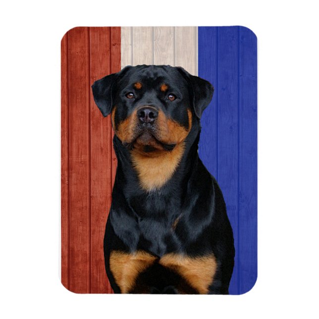 Rottweiler   magnet (Vertical)