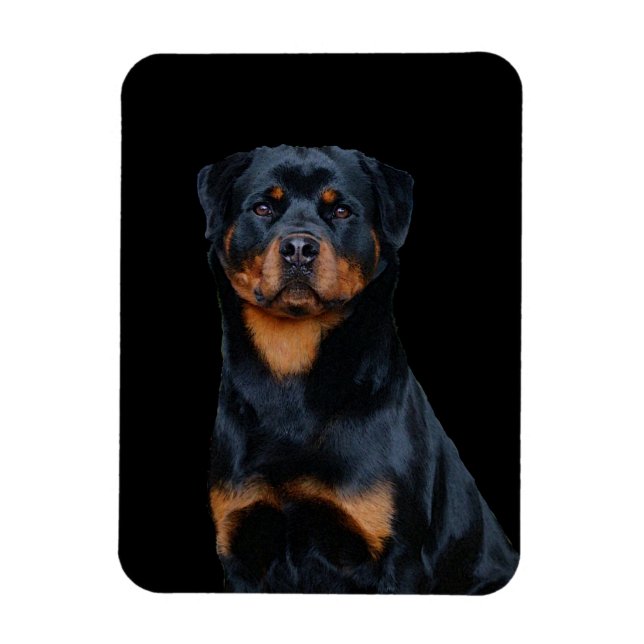 Rottweiler  magnet (Vertical)