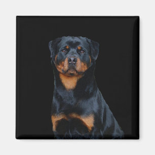 Rottweiler  magnet