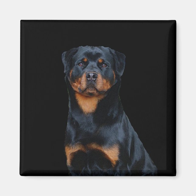 Rottweiler  magnet (Front)