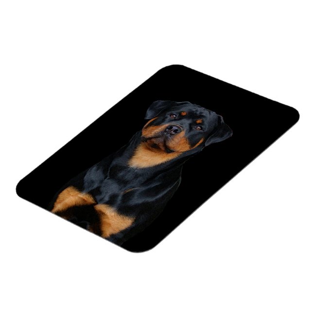 Rottweiler   magnet (Left Side)