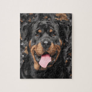 Rottweiler - Metzgerhund Jigsaw Puzzle