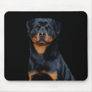 Rottweiler mouse pad
