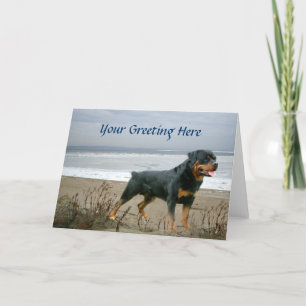 Rottweiler On Beach Greeting Card