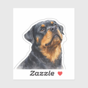 Rottweiler or Rotti