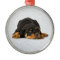 Rottweiler Ornament