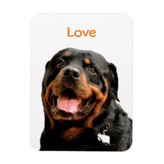 Rottweiler Photo Magnet