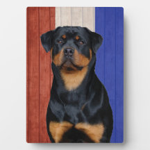 Rottweiler  