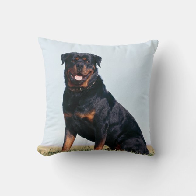 Rottweiler Portrait Square Throw Pillow (Front)