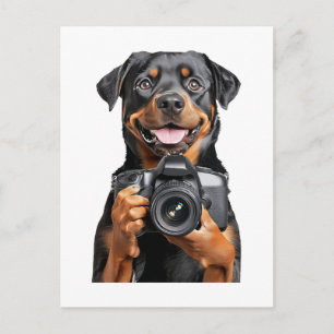 Rottweiler postcard