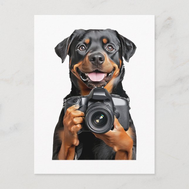 Rottweiler   postcard (Front)