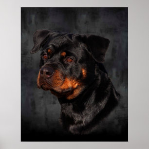 Rottweiler Poster