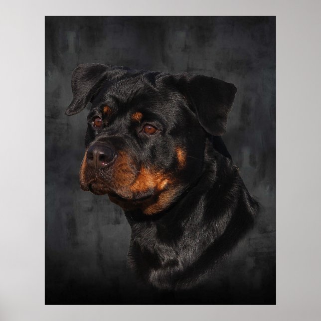Rottweiler Poster (Front)