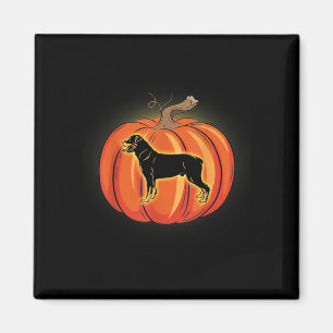 rottweiler pumpkin halloween costume  dog lover magnet