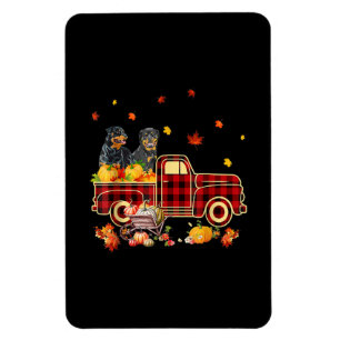 Rottweiler Pumpkin Truck Fall Leaf Thanksgiving Magnet
