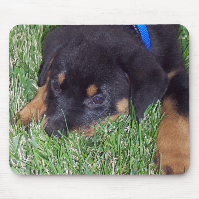 rottweiler pup. mouse pad (Front)