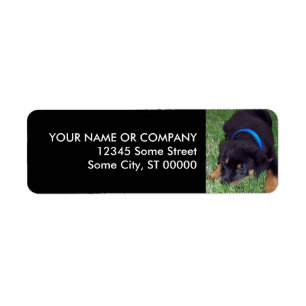 rottweiler pup. return address label