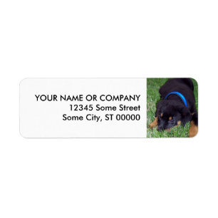 rottweiler pup. return address label