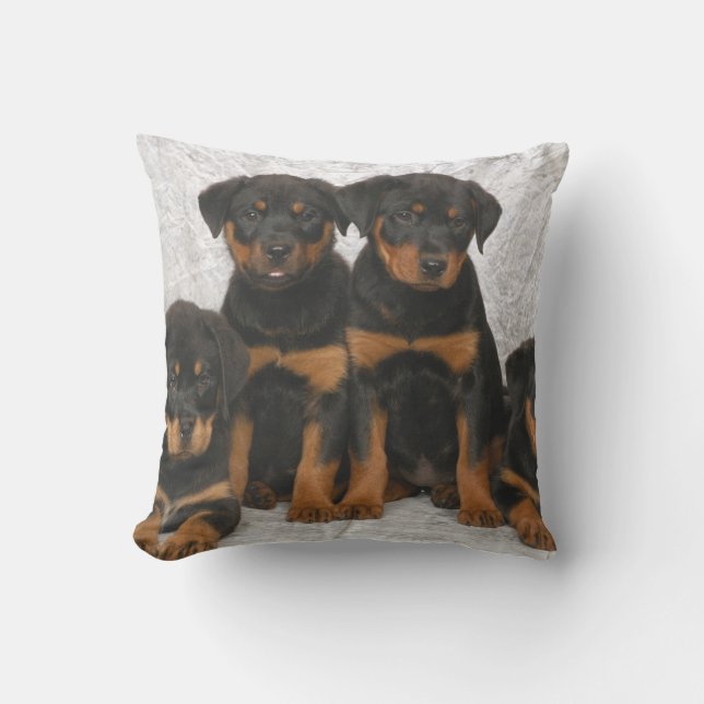 Rottweiler puppies cushion (Front)