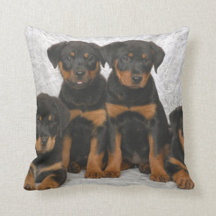 Rottweiler puppies cushion