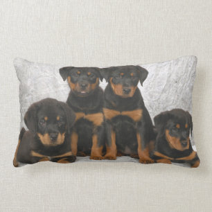 Rottweiler puppies lumbar cushion