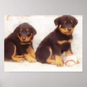 Rottweiler puppies poster