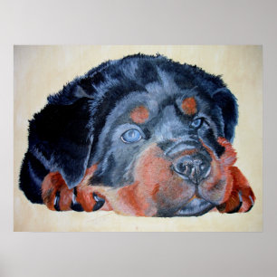 Rottweiler Puppy Artistic Pet Portrait Poster