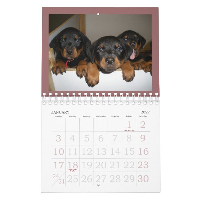 Rottweiler Puppy Calendar (Jan 2027)