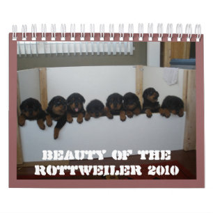 Rottweiler Puppy Calendar