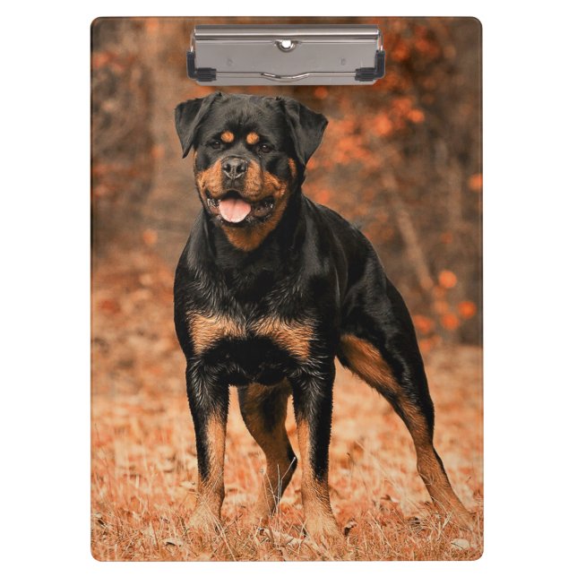 Rottweiler Puppy Dog Clipboard (Front)