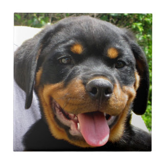 Rottweiler puppy face Dog Cute Ceramic Tile