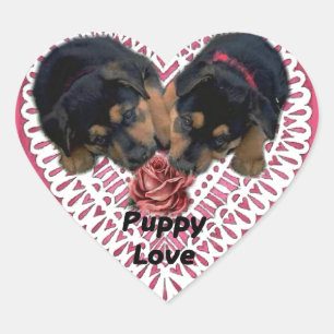 Rottweiler Puppy Love Valentines Heart Sticker