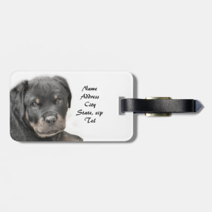 Rottweiler puppy luggage tag