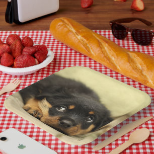 Rottweiler Puppy Paper Plate