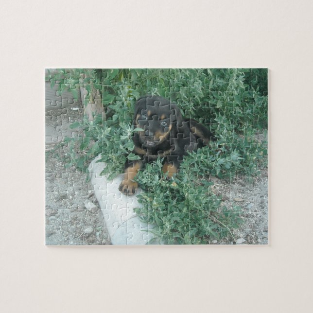 Rottweiler Puppy Photo Jigsaw Puzzle (Horizontal)