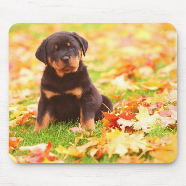 Rottweiler Puppy Sitting In Autumn Leaves Mouse Pad (Front)