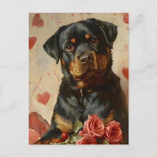 Rottweiler Puppy Valentine's Day Vintage Postcard (Front)