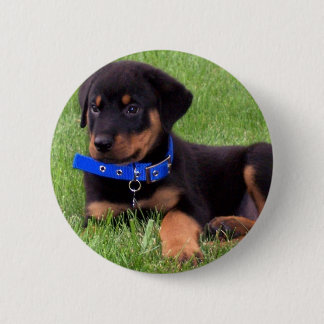 rottweiler pups 6 cm round badge