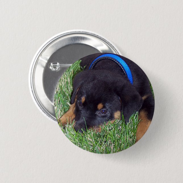 rottweiler pups 6 cm round badge (Front & Back)