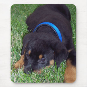 rottweiler pus. mouse pad