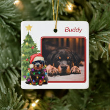 Rottweiler Red White Two Photo Pet Dog Christmas