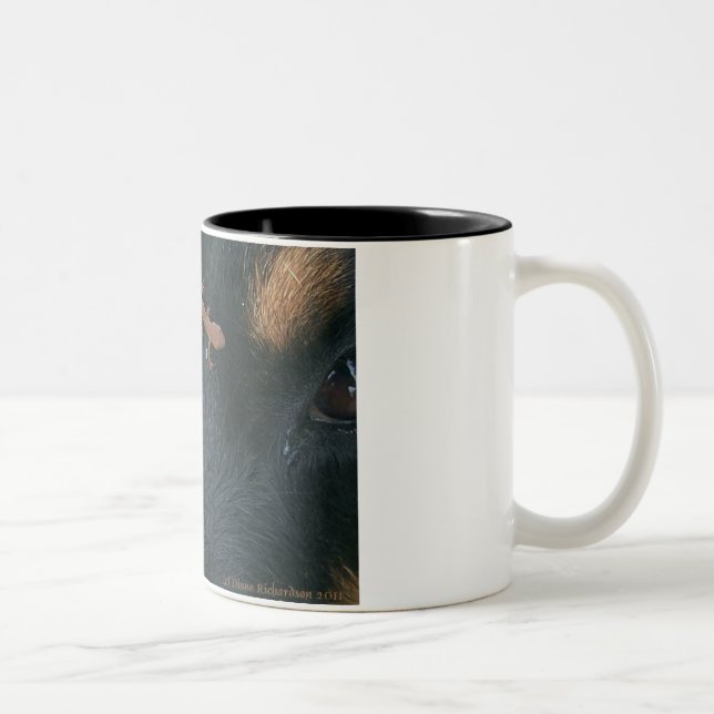 Rottweiler & Salamander mug (Right)